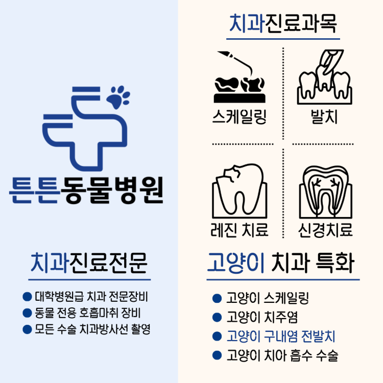 c19d59ba91e08a6d1b741ff344a5ba9e_1747216247_6041.png