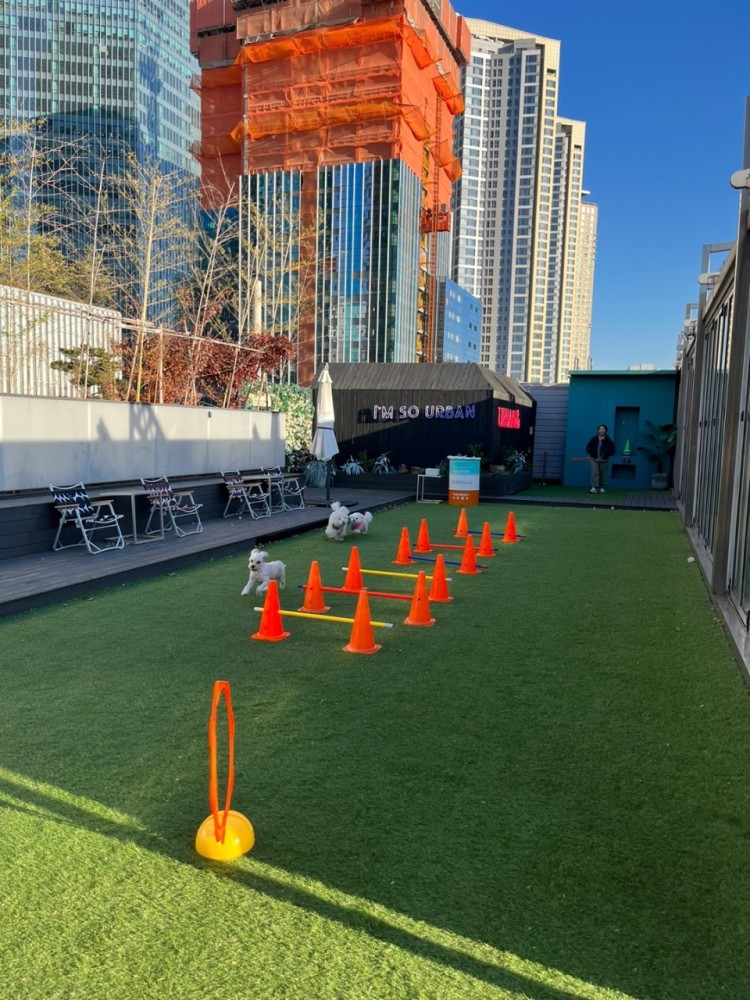 df174b4eb860079e116ceba0e45e3684_1752574046_1043.jpg