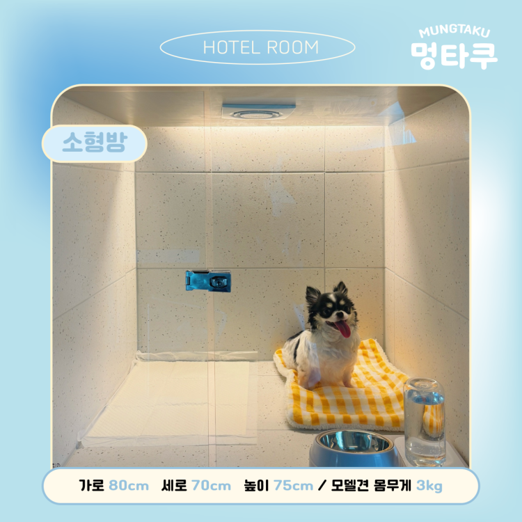 a687a904ba959d36c6f738449997b654_1755676405_5259.png